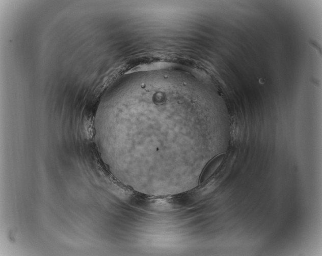 X0000100780285200807101824
