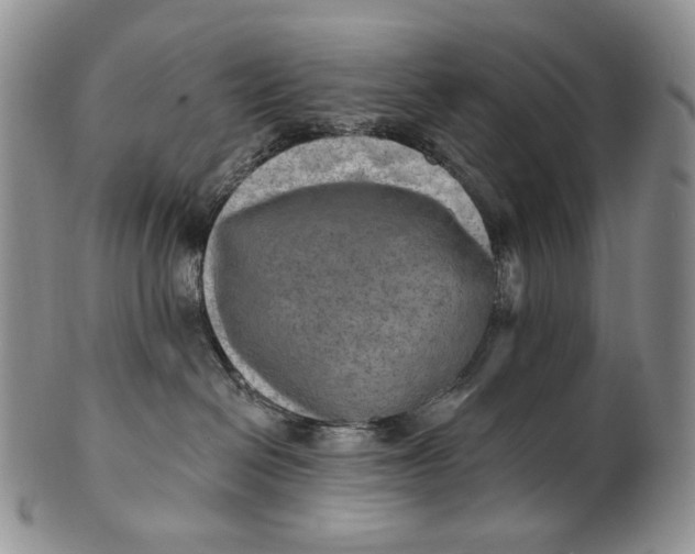 X0000100780286200807101824