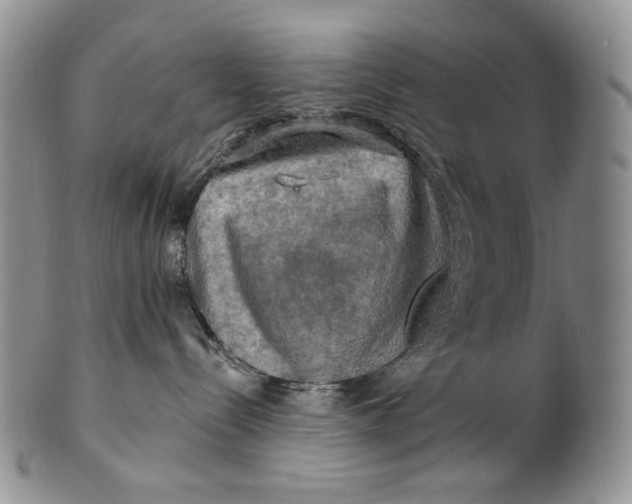 X0000100780288200807101824