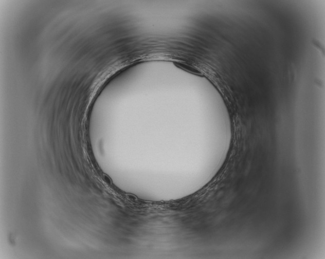 X0000100780289200807101823