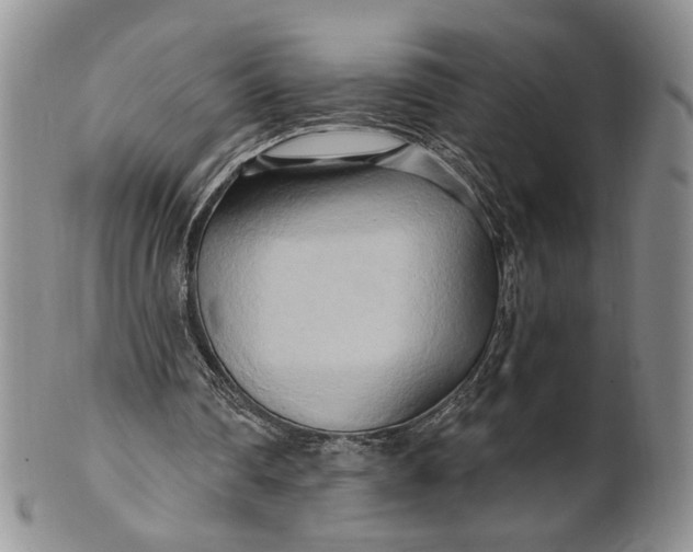 X0000100780290200807101823