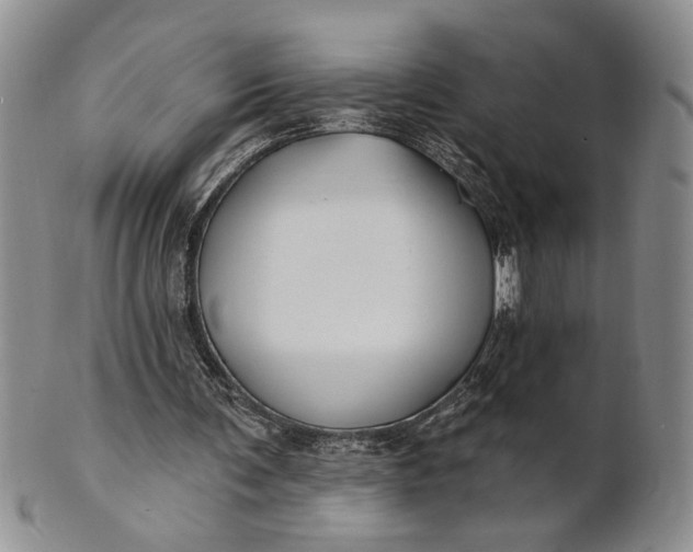 X0000100780291200807101823