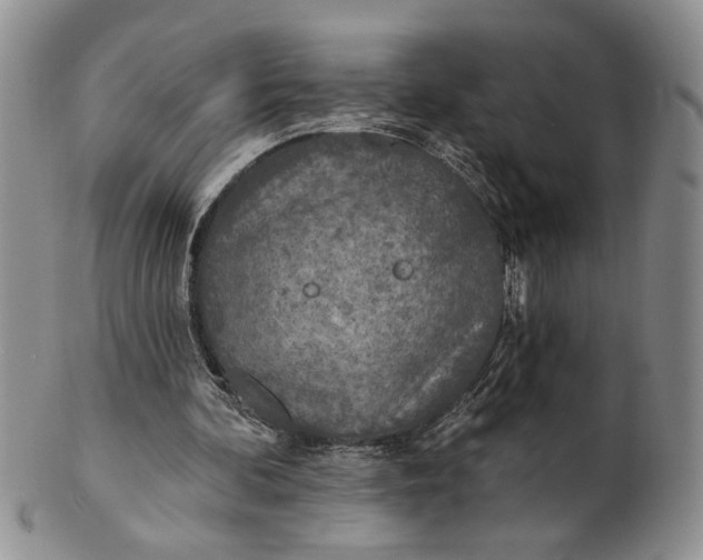 X0000100780292200807101823