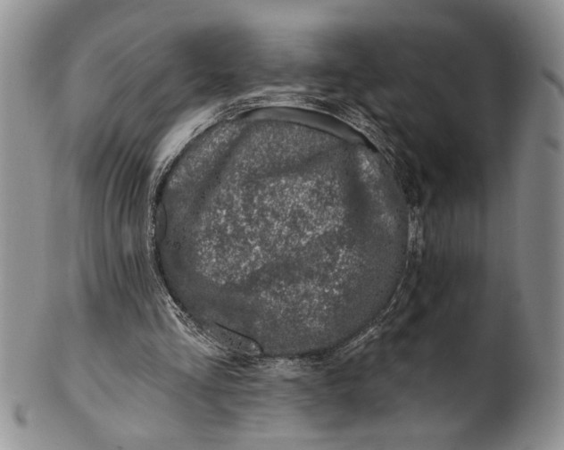 X0000100780293200807101823