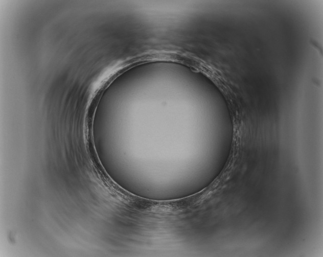 X0000100780294200807101823