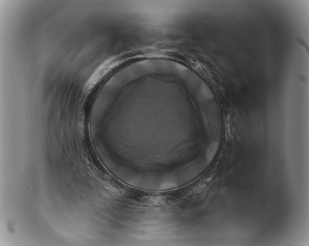 X0000100780295200807101823