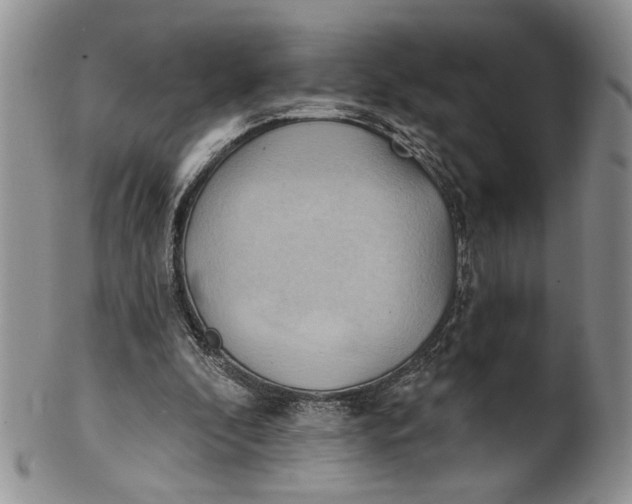 X0000100780296200807101823