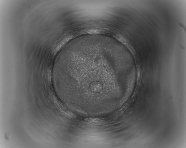 X0000100780297200807101823
