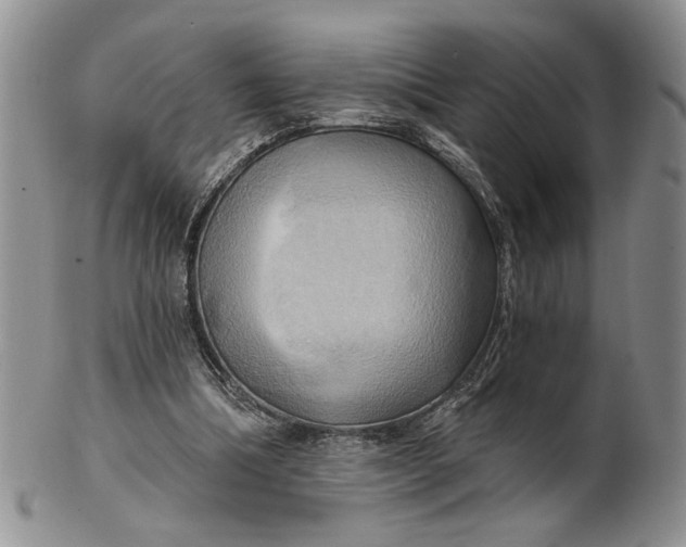 X0000100780298200807101823