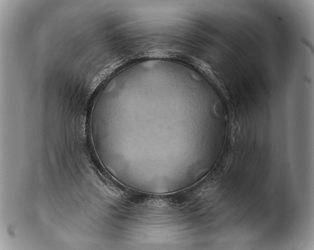 X0000100780299200807101823
