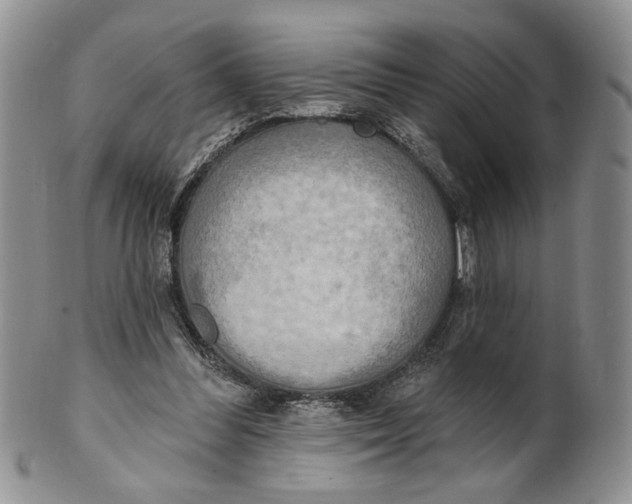 X0000100780300200807101823