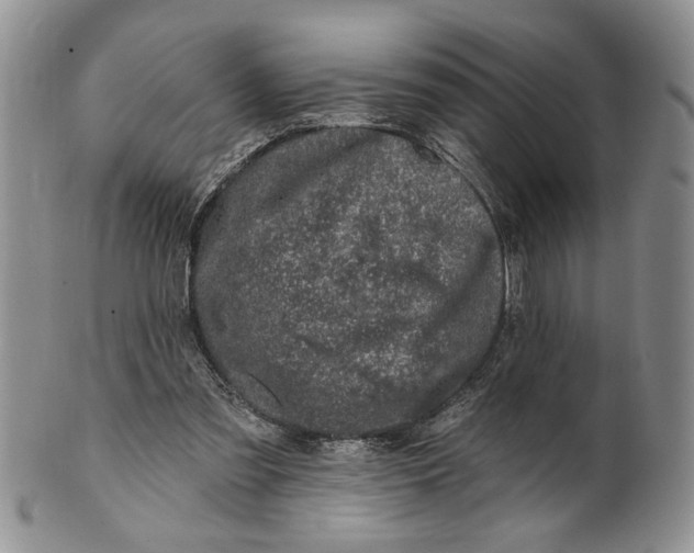 X0000100780301200807101823