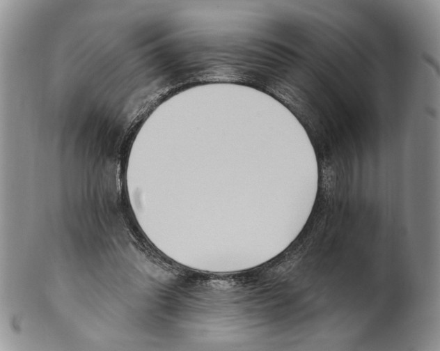 X0000100780302200807101822