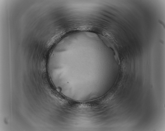 X0000100780303200807101822