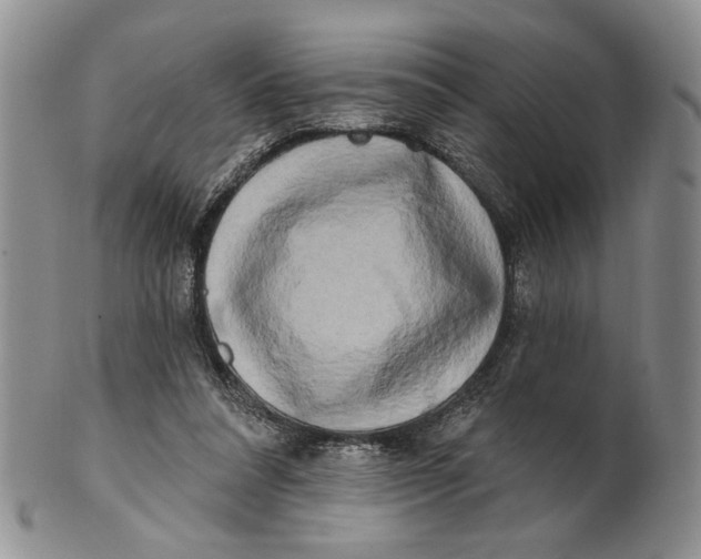 X0000100780304200807101822