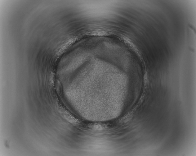 X0000100780305200807101822