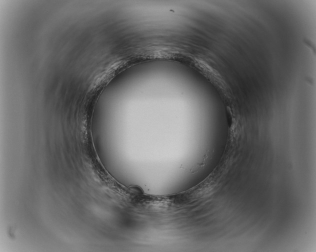 X0000100780306200807101822