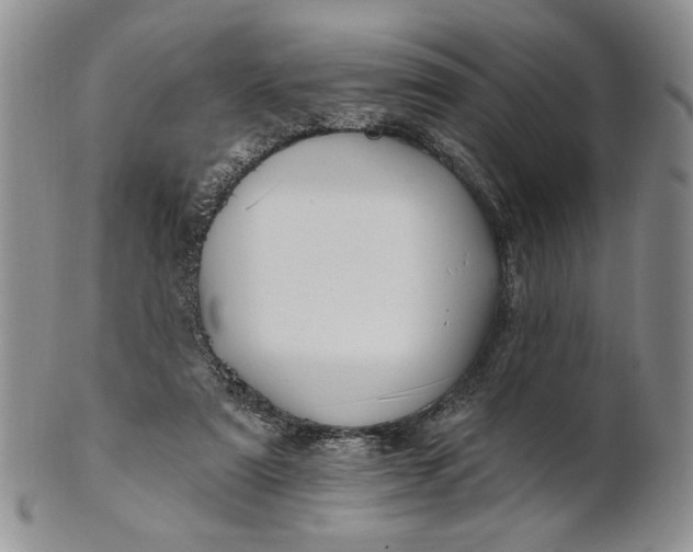 X0000100780307200807101822