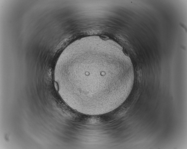 X0000100780308200807101822