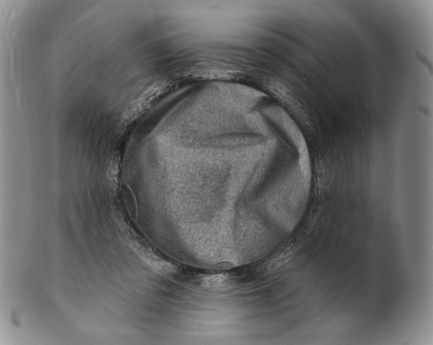 X0000100780309200807101822