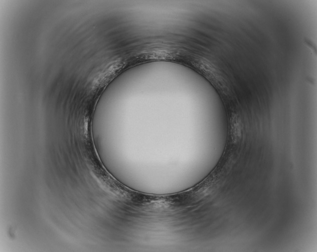X0000100780310200807101822