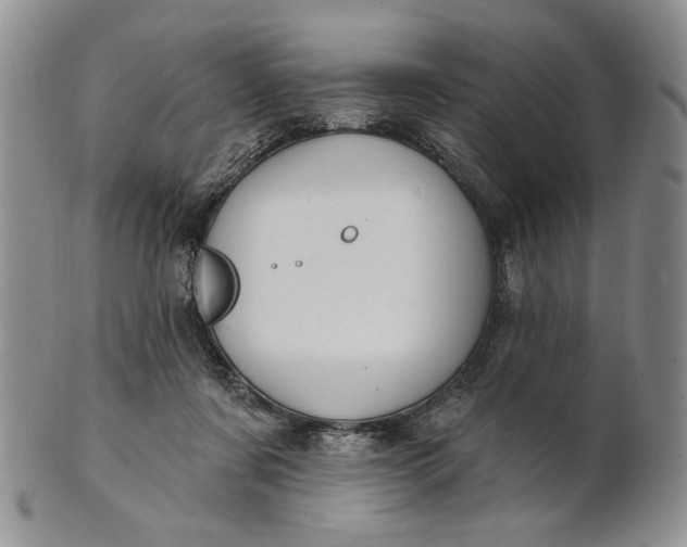 X0000100780311200807101822