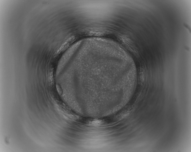 X0000100780312200807101822