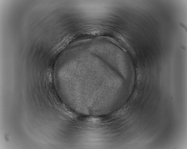 X0000100780313200807101822