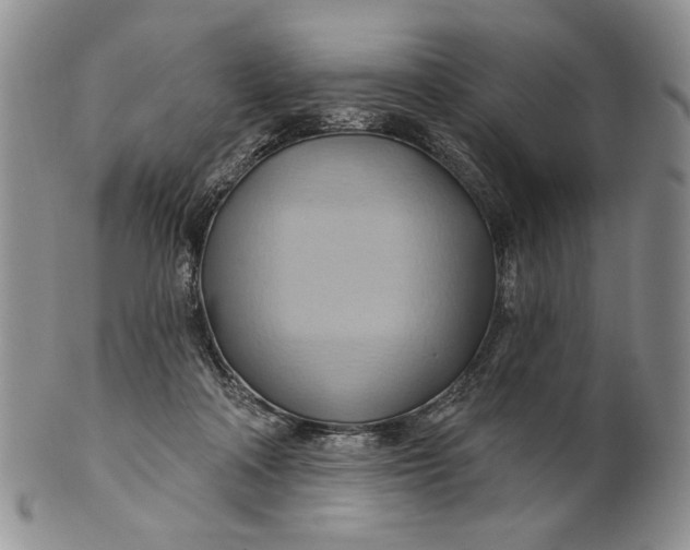 X0000100780314200807101822