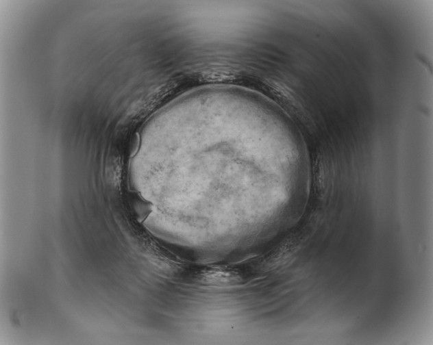 X0000100780315200807101822