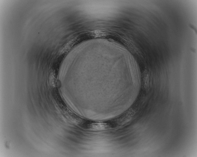 X0000100780316200807101822