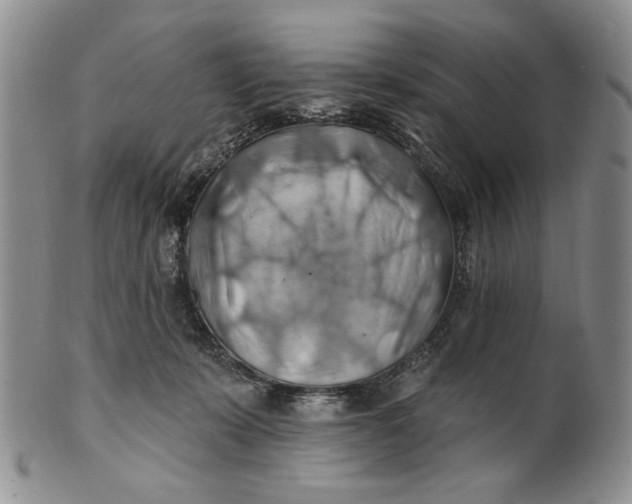 X0000100780319200807101822