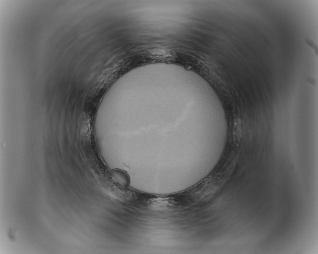 X0000100780320200807101822