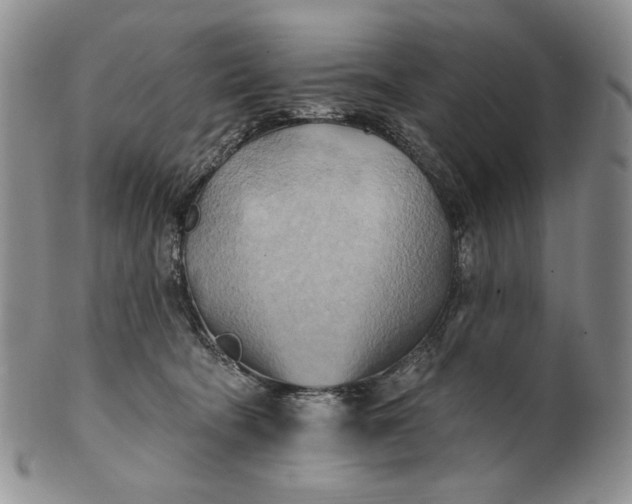 X0000100780322200807101822
