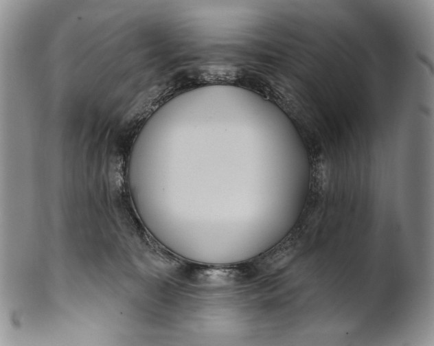 X0000100780323200807101822