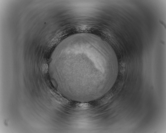 X0000100780324200807101822