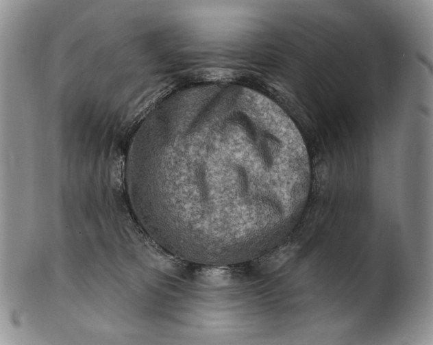 X0000100780325200807101822