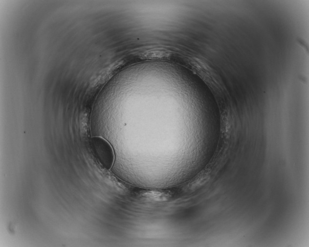 X0000100780326200807101822