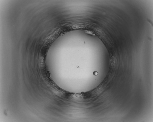 X0000100780327200807101822