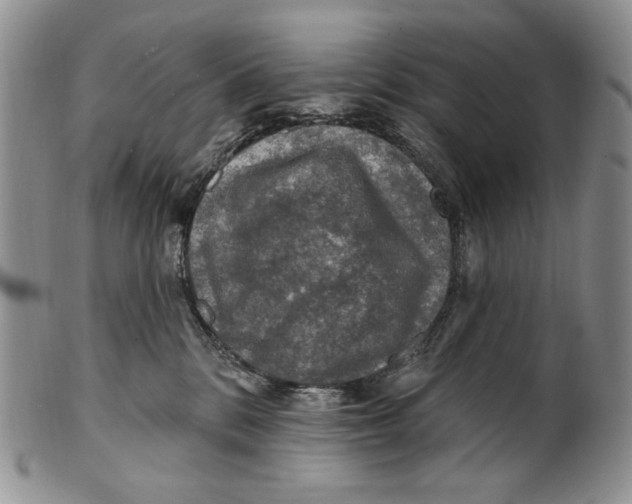 X0000100780328200807101822