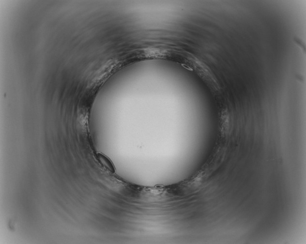 X0000100780329200807101822