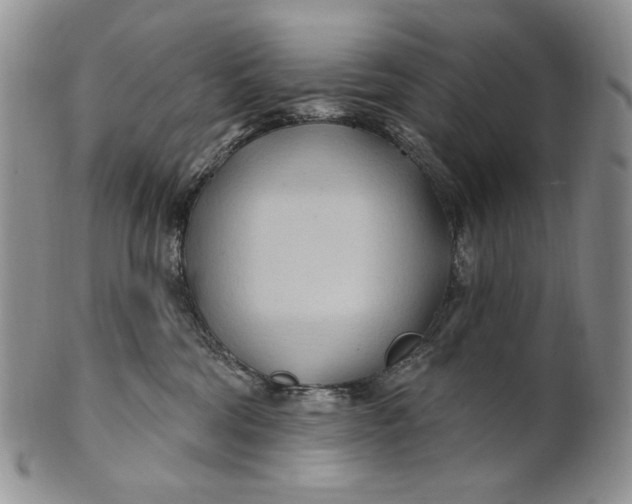 X0000100780330200807101822