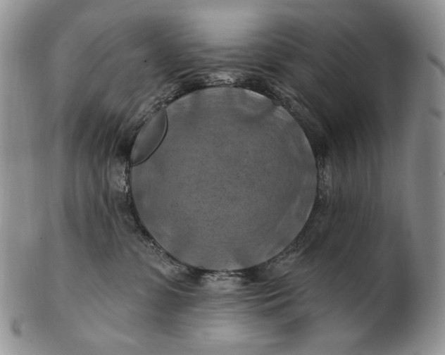 X0000100780331200807101822