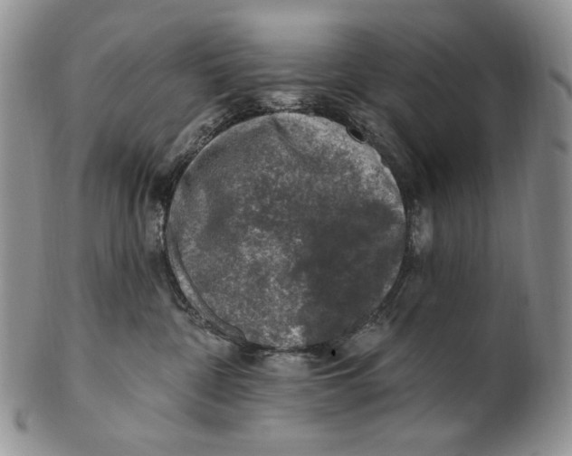X0000100780332200807101822