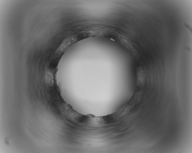 X0000100780333200807101822