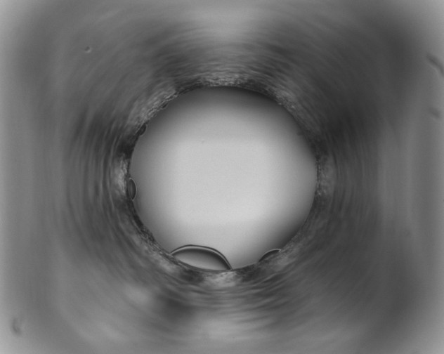 X0000100780334200807101822