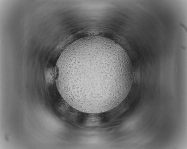 X0000100780335200807101822