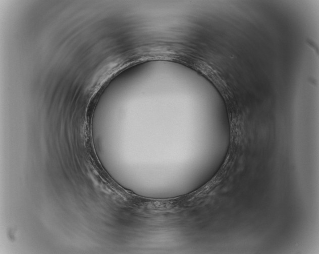 X0000100780338200807101821