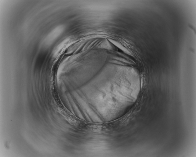 X0000100780339200807101821