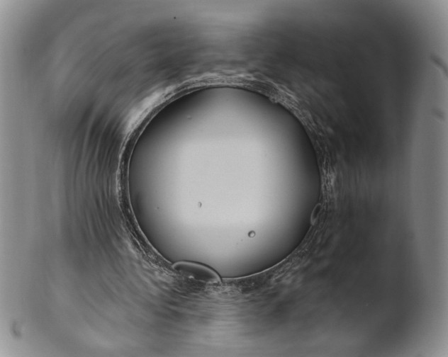 X0000100780340200807101821